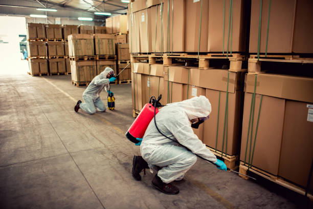 Best Affordable Pest Control Services  in Ellijay, GA