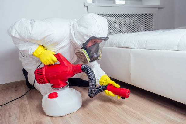 Best Bed Bug Extermination  in Ellijay, GA