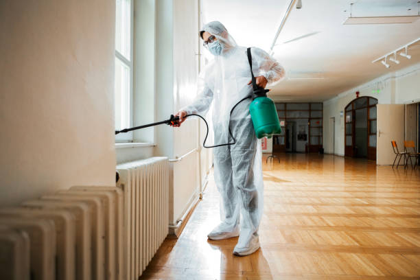 Best Affordable Pest Control Services  in Ellijay, GA